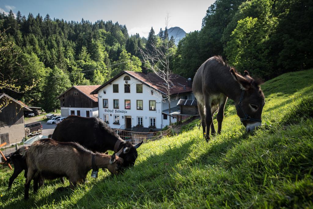 Gasthof Fallmuehle Pfronten Eksteriør bilde