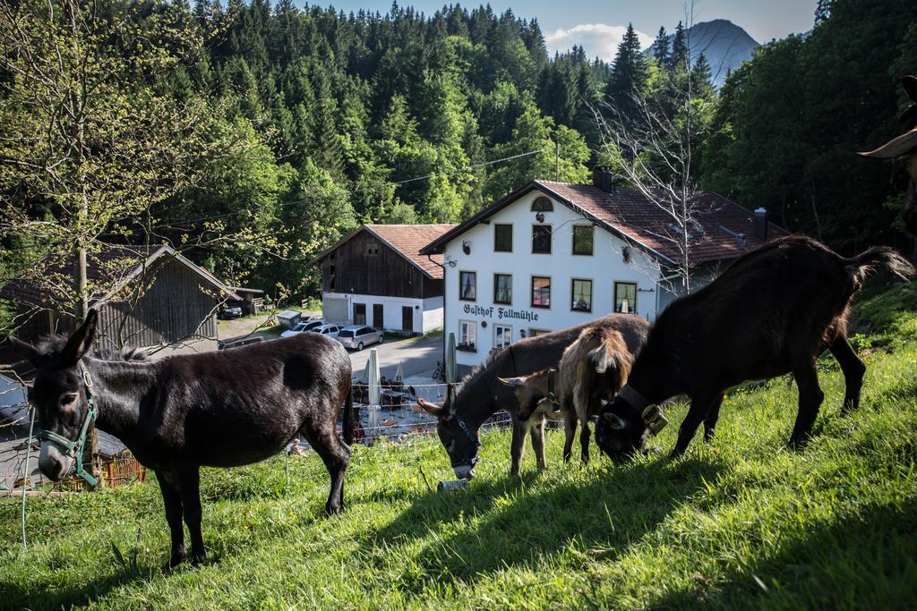 Gasthof Fallmuehle Pfronten Eksteriør bilde
